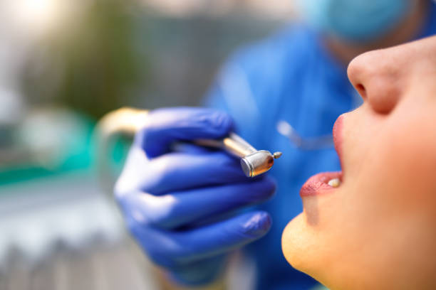 Trusted White Center, WA Holistic Dental Care Services Experts